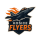 Košice Flyers